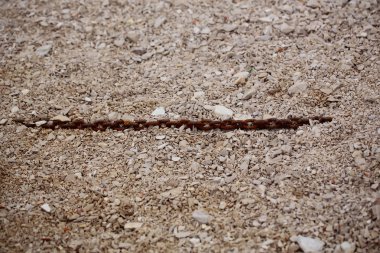 Çakıl taşları üzerinde paslı Zinciri