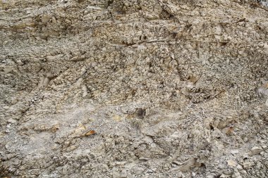 Gri kaya veya taş oluşumları