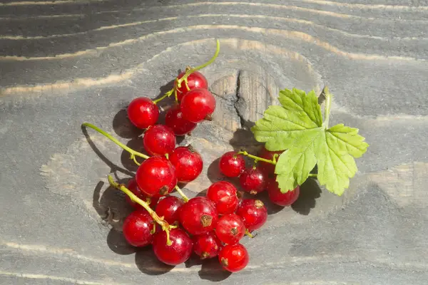 Ribes rosso sul tavolo in legno — Foto Stock