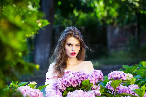 Красива дівчина в квітах гортензії — стокове фото
