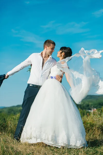 Groom and bride summer field — Stock Photo, Image