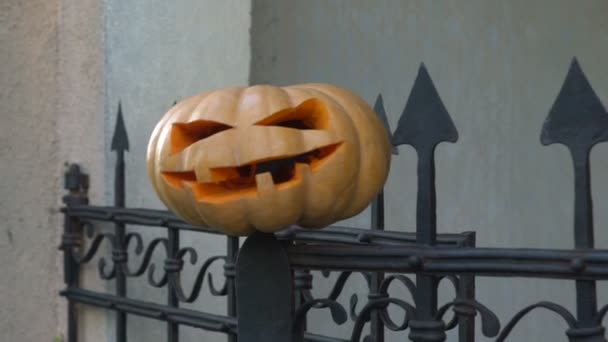 Halloween pumpkin on the gothic fence before a party — Stockvideo