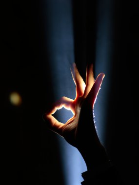 El hareketi spotlight içinde