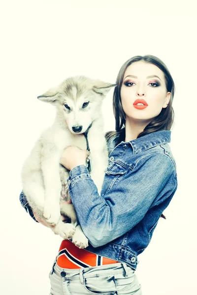 Pretty sexy girl with husky dog — стоковое фото