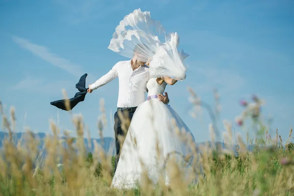 Novio y novia campo de verano — Foto de Stock