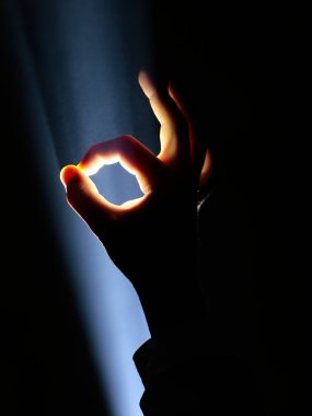 El hareketi spotlight içinde