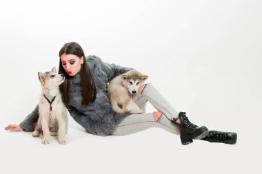 husky köpek ile çok seksi kız