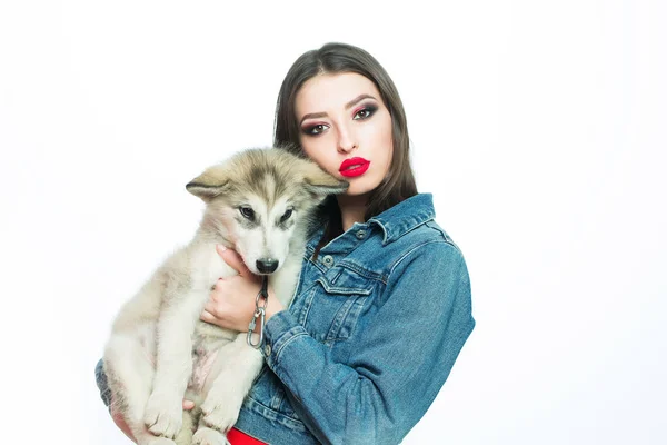 Menina muito sexy com cão husky — Fotografia de Stock