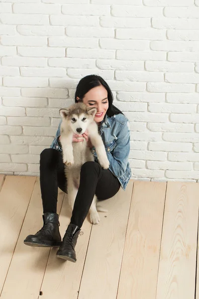 husky köpek ile çok seksi kız