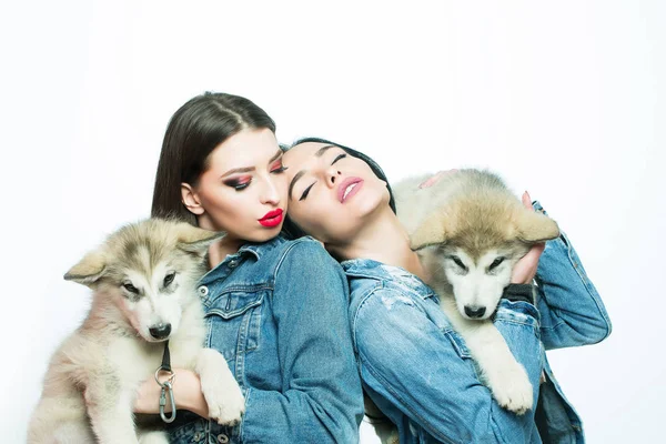 Meninas em ganga com husky — Fotografia de Stock