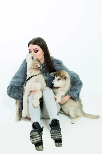 Menina muito sexy com cão husky — Fotografia de Stock