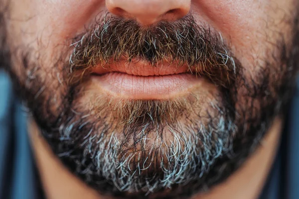 Siwienie, broda i wąsy — Zdjęcie stockowe
