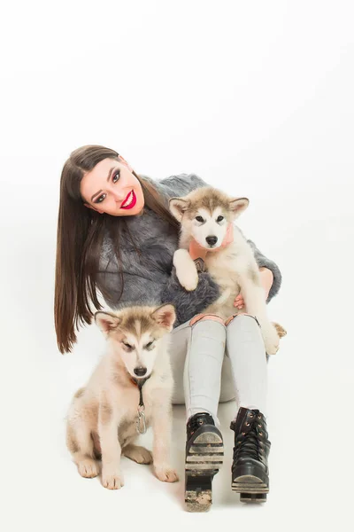 Pretty sexy girl with husky dog — стоковое фото
