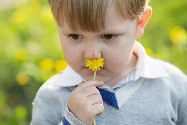 Carino ragazzo annusa a fiore — Foto Stock