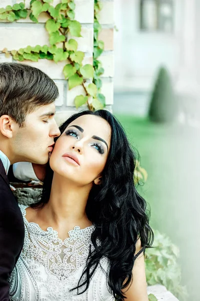 Bonito noivo beijando rosto nupcial — Fotografia de Stock