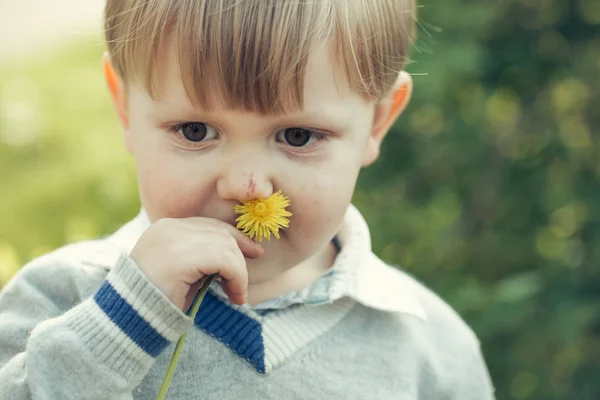 Mignon garçon renifle à fleur — Photo