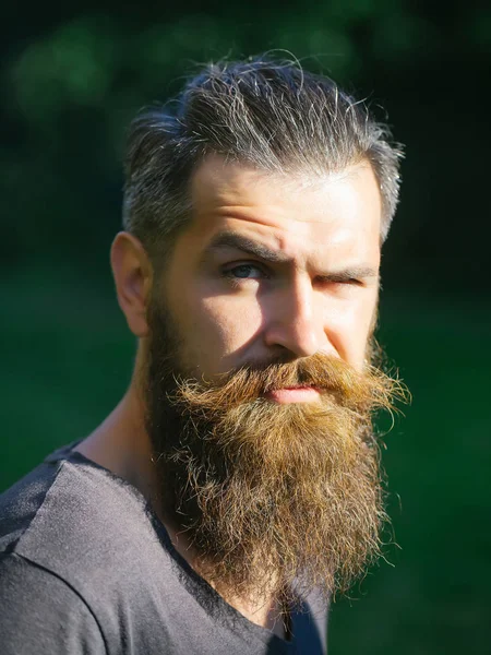 Hombre barbudo fruncido con barba —  Fotos de Stock