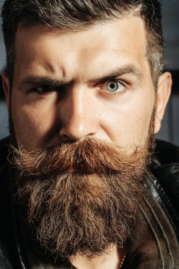 Sakallı adam hipster kaşlarını