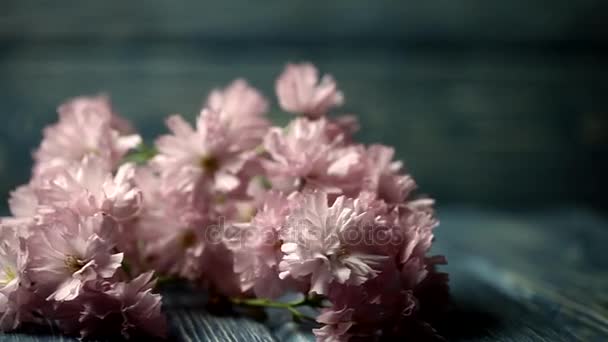 Sakura florece sobre un fondo de madera en movimiento. Sakura de flor de cerezo sobre madera rústica — Vídeos de Stock