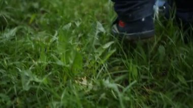 Otların arasında yürürken ayakları küçük