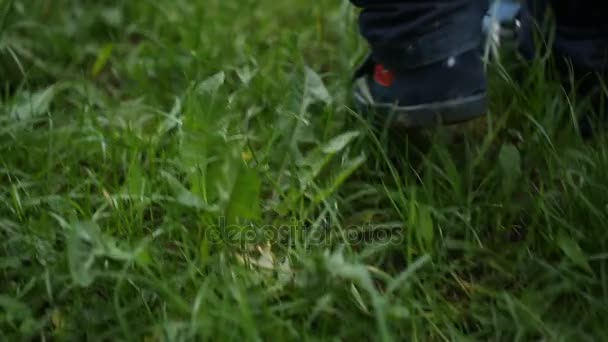 Pequeños pies caminando en la hierba — Vídeo de stock