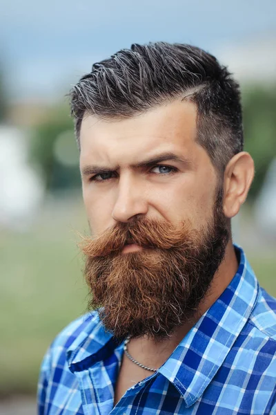 Sakallı adam açık kaşlarını