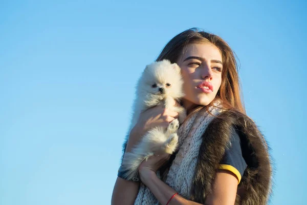 Güzel kız sevimli köpek tutar — Stok fotoğraf