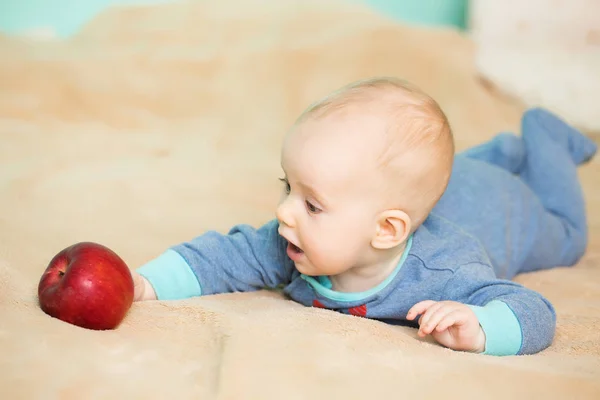 赤いりんごの小さな赤ちゃんに達する — ストック写真