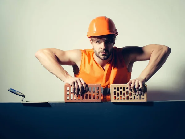 sexy muscular man builder
