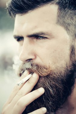 Sakallı adam Sigara İçilmeyen kaşlarını