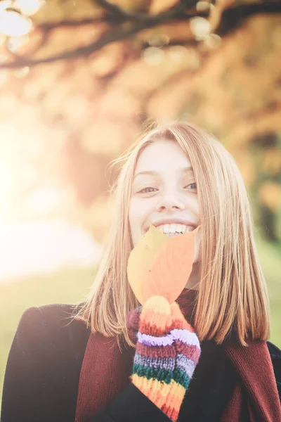 Ładna dziewczyna z jesiennych liści — Zdjęcie stockowe