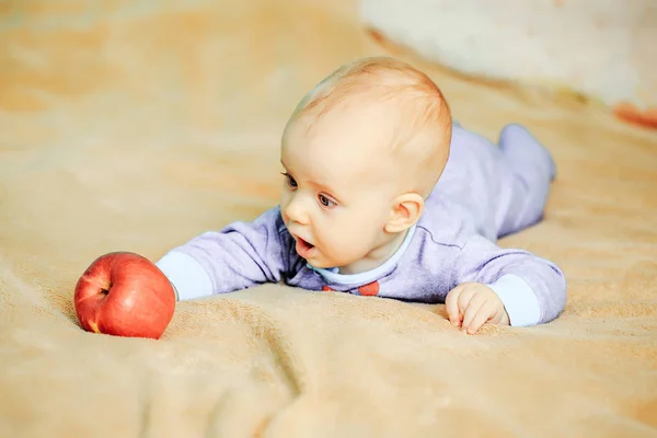 赤いりんごの小さな赤ちゃんに達する — ストック写真