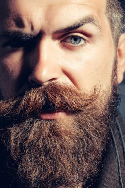 ciddi sakallı adam hipster