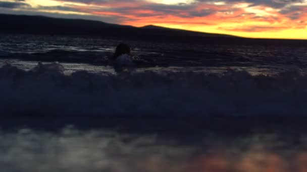 Movimiento lento: Nadador nadando en el mar — Vídeo de stock