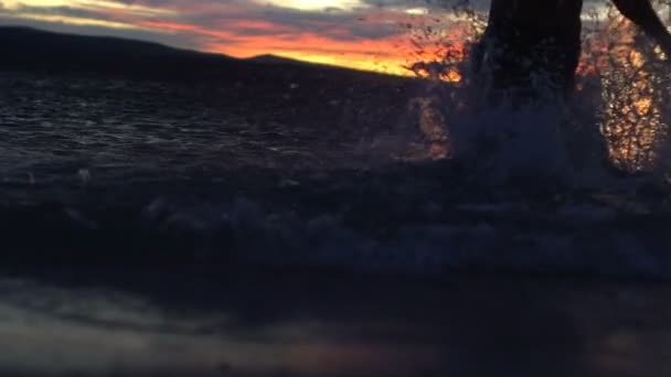 Mouvement lent : Homme courant en mer au coucher du soleil — Video