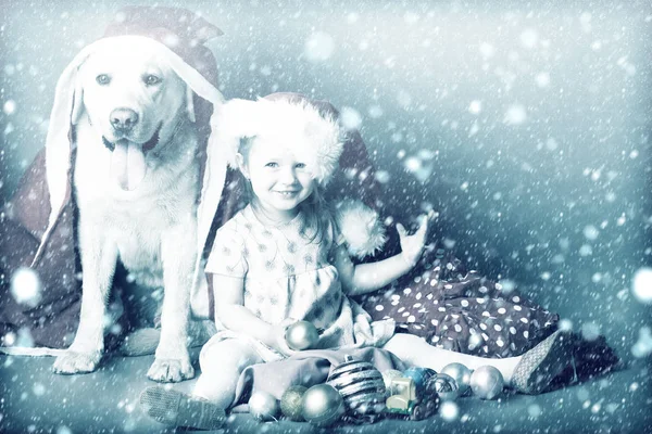 Christmas liten flicka med labrador hund — Stockfoto