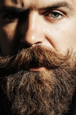 ciddi sakallı adam hipster