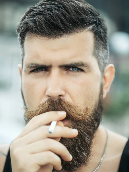 Sakallı adam Sigara İçilmeyen kaşlarını