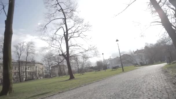 Stadtpark im zeitigen Frühling — Stockvideo
