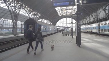 Prague, Çek Cumhuriyeti - Mart 2016: yolcu Prag tren istasyonunda bir köpekle