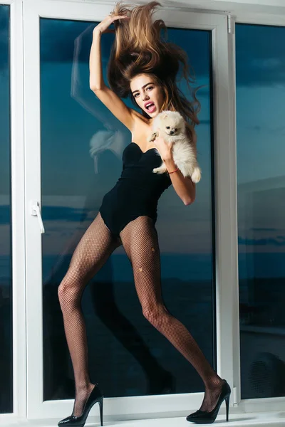 Sexy meisje op venster met hond — Stockfoto