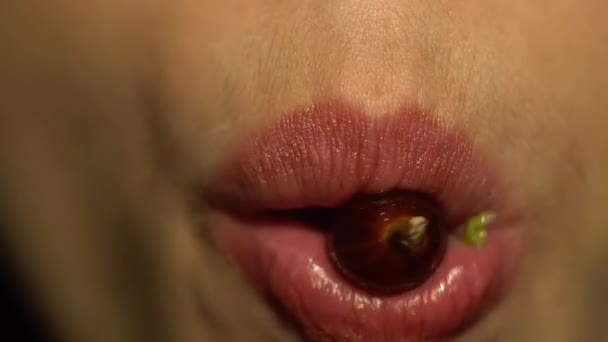 女孩舔醋栗和覆盆子，性感的嘴唇和嘴里的浆果特写 — 图库视频影像
