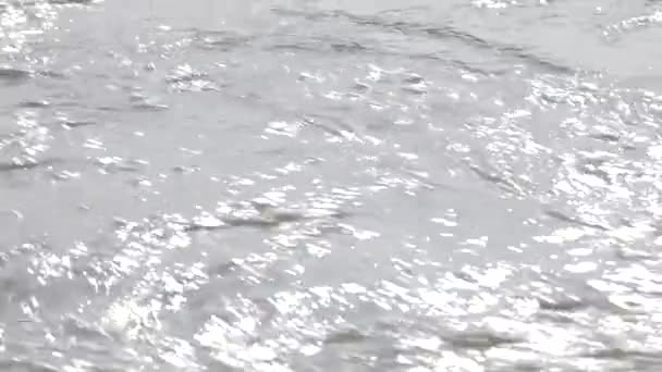 Επιφάνεια του νερού στον ποταμό γρήγορα — Αρχείο Βίντεο