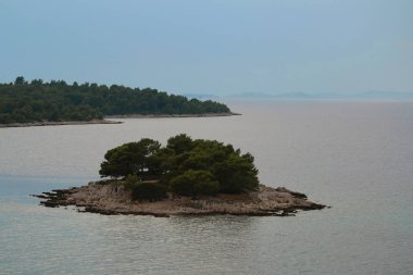 Ağaçları ile kayalık ada.