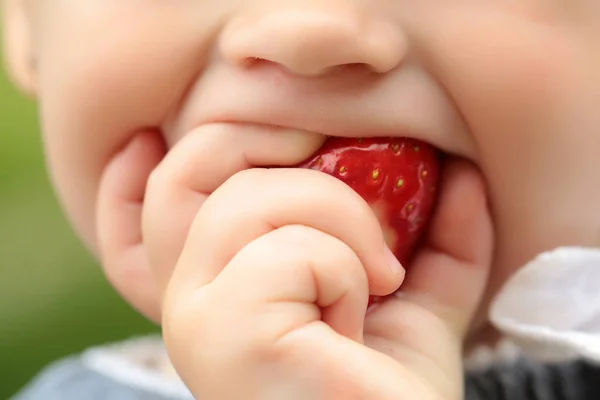 Small child eating red strawberry — Stock Photo, Image