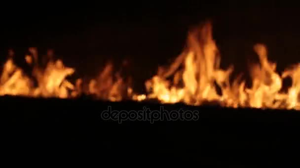 Chama de fogo em chamas desfocada — Vídeo de Stock