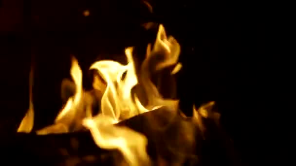 Bright flame fire on a black background — Stock Video