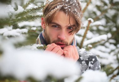 yakışıklı bir adam kış orman