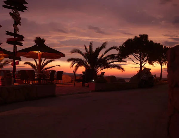 Parasols and palms in cafe at sunset. — Stock Photo, Image