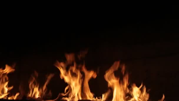 Fuego real sobre fondo negro — Vídeos de Stock